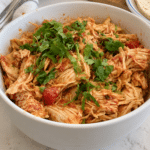 salsa chicken crock pot