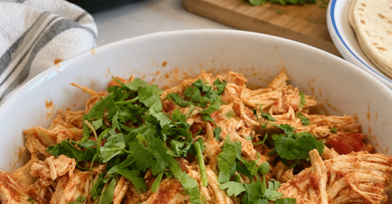 salsa chicken crock pot