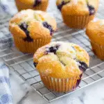 blueberry muffins
